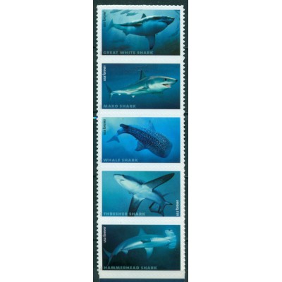 Tiburones