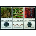 Descubrimientos Arqueológicos en Jerusalem