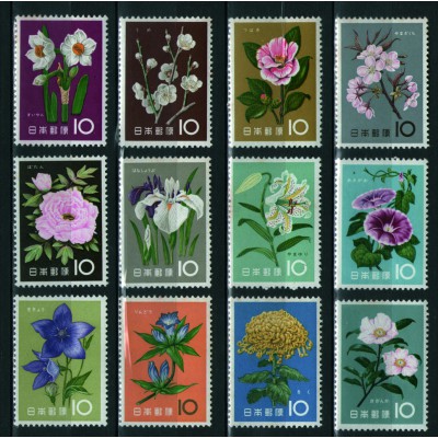 Serie Ordinaria Flores