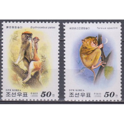Fauna Monos