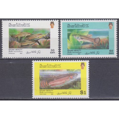 Peces