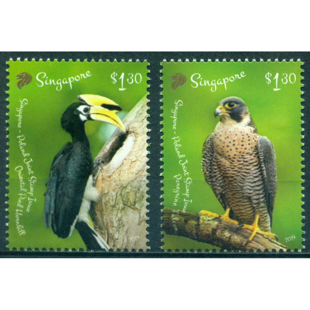 Pájaros