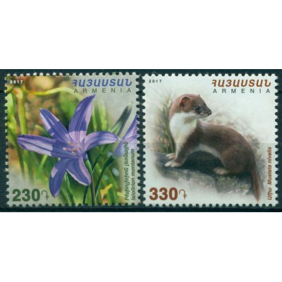 Flora y Fauna Ixiolirion y Comadreja