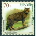 Fauna Gato Montes Jabali Ardilla