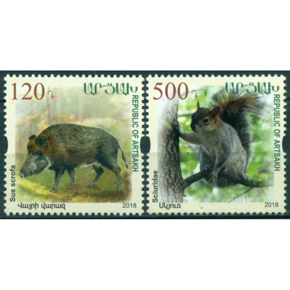 Fauna Gato Montes Jabali Ardilla
