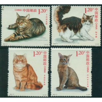 Animales Domésticos Gatos