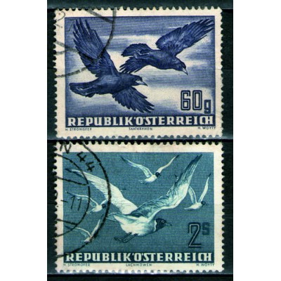 Fauna Correo Aereo