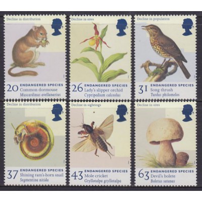 Fauna y Flora. Especies en vía de extinción