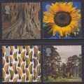 2º Milenio Arboles y Hojas