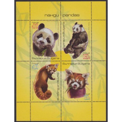 Fauna Salvaje Pandas