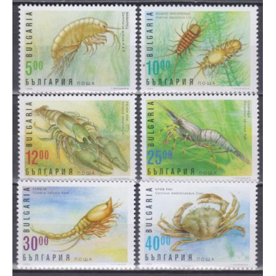 Fauna Crustáceos