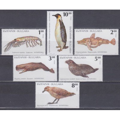 Animales de la Antártida