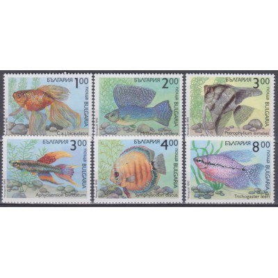 Peces