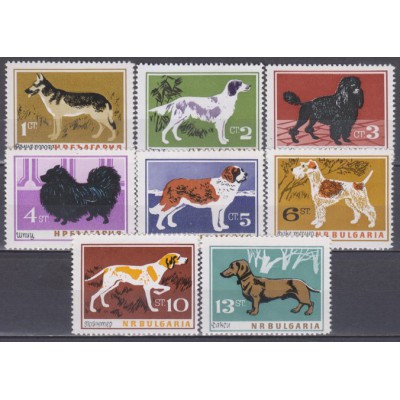Perros de razas diversas