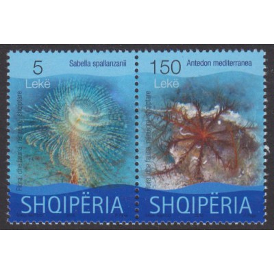 Flora y Fauna Acuática