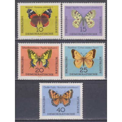 Mariposas diversas