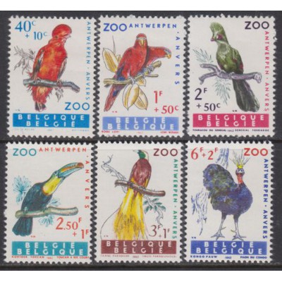 Aves del Zoológico de Amberes