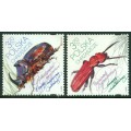 Insectos Escarabajos