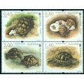 Tortugas
