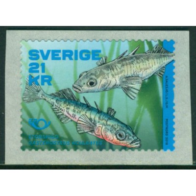 Vida Marina Peces de la Región Nórdica