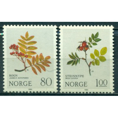 Flora