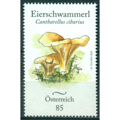Hongos Endémicos de Austria