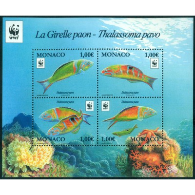 WWF El Pez Verde