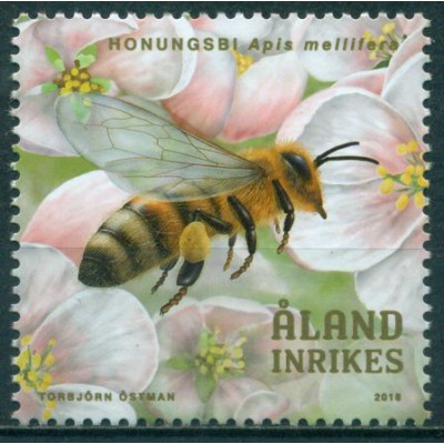 Protección de las Abejas
