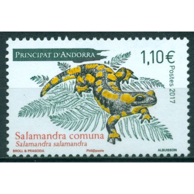 Salamandra Común