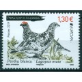 Pájaros Nacionales Perdiz Nival