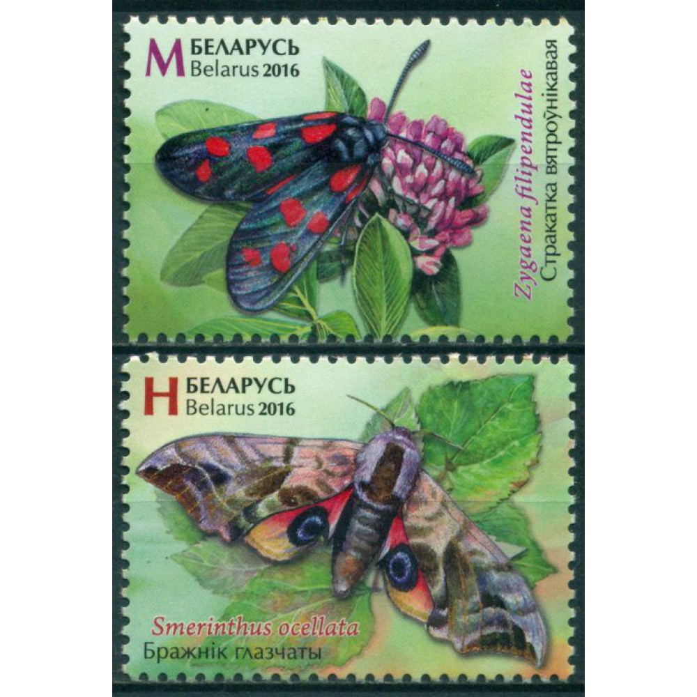 Mariposas