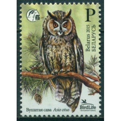 Pájaro del Año Buho Chico