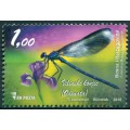 Libélula