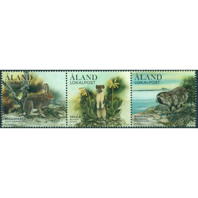 Fauna Forestal