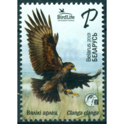 Pájaro del Año Aguila Moteada