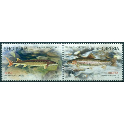 Peces