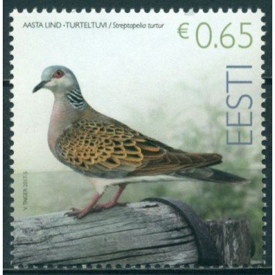 Pájaro del Año Tortola Europea
