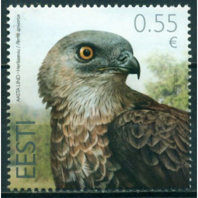 Fauna Abejero Europeo