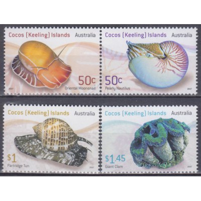 Caracoles de la Isla Cocos