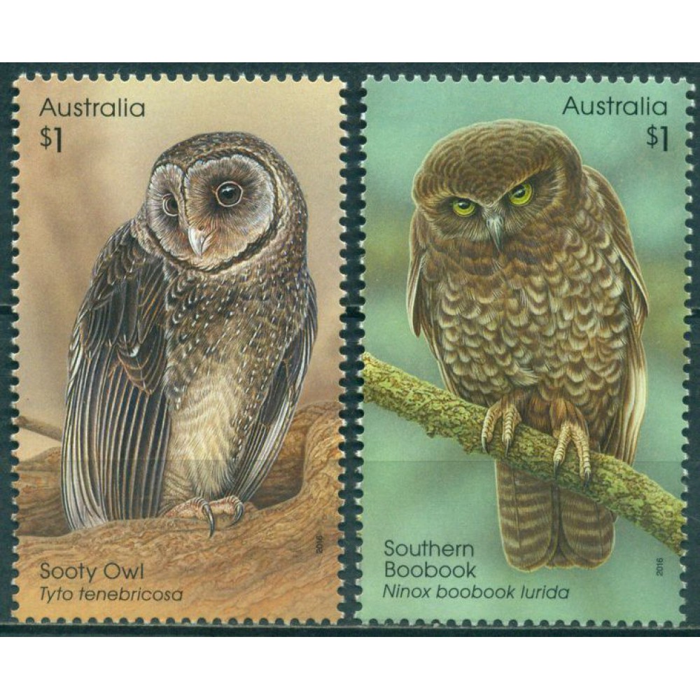 Buhos Guardianes de la Noche