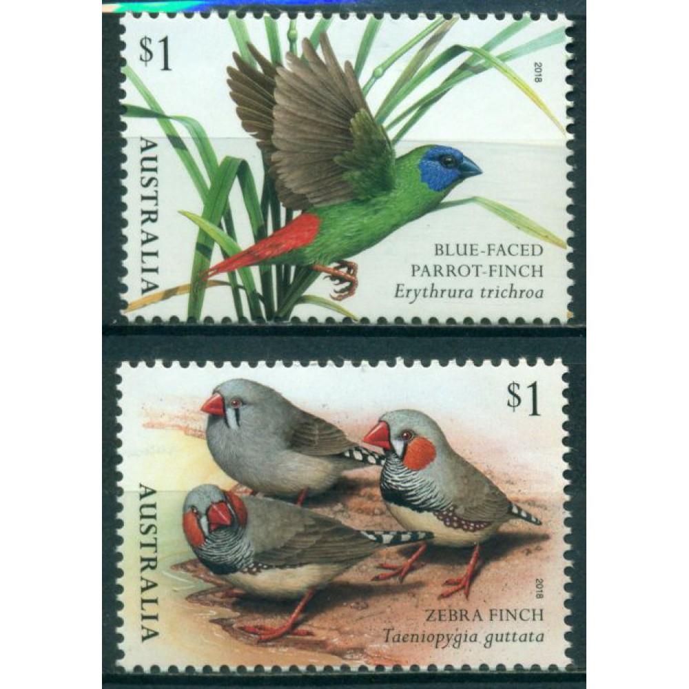 Pájaros