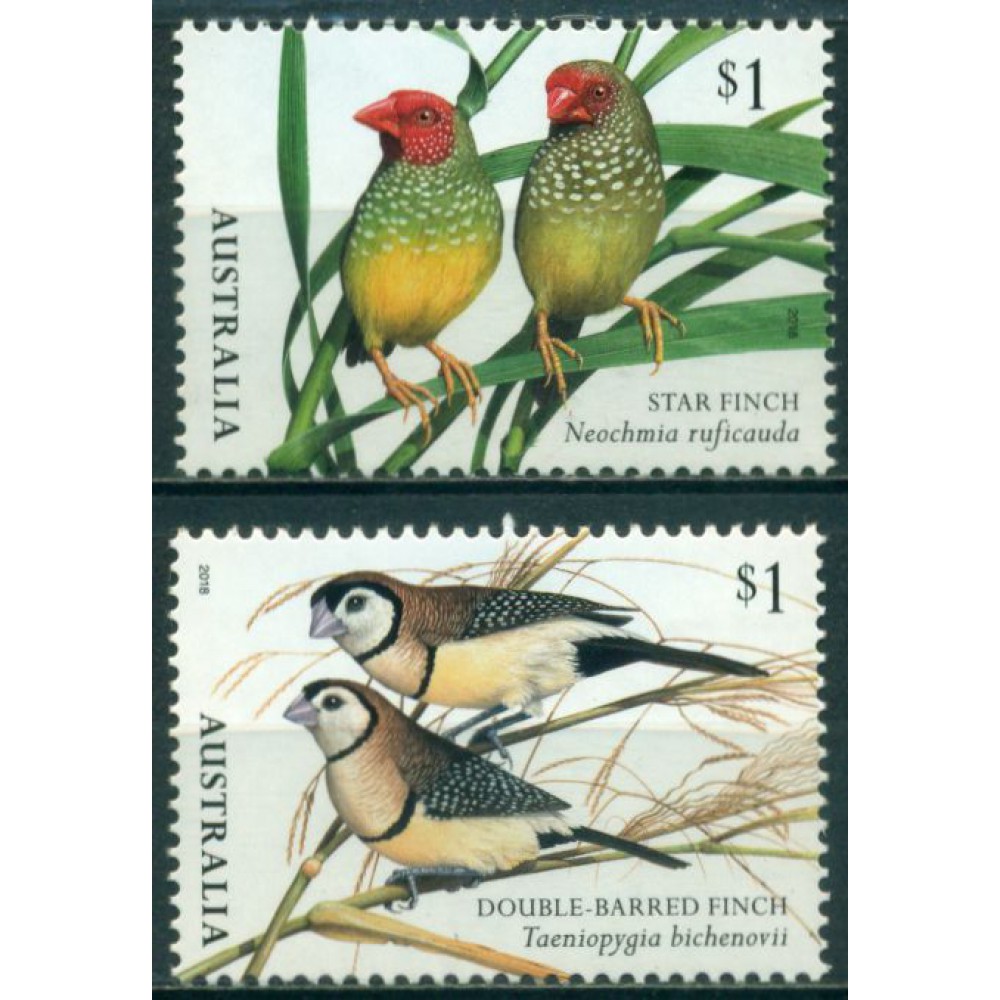 Pájaros