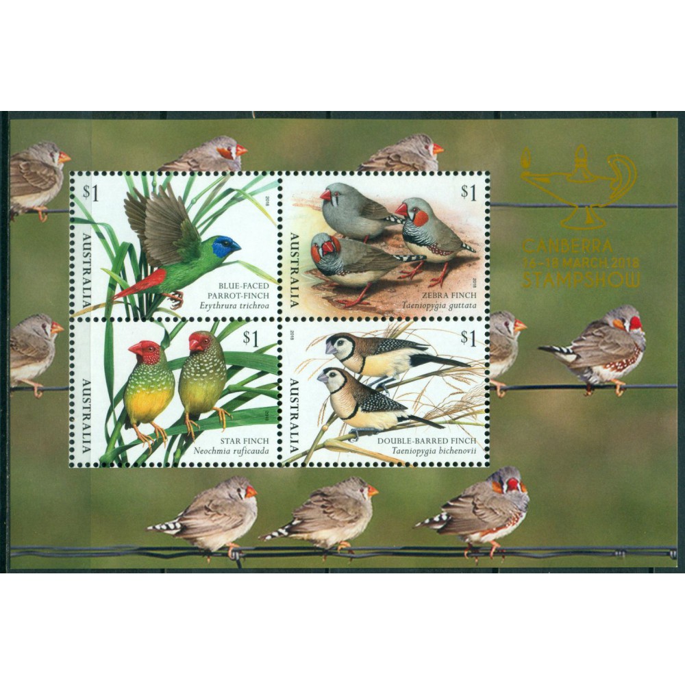 Pájaros