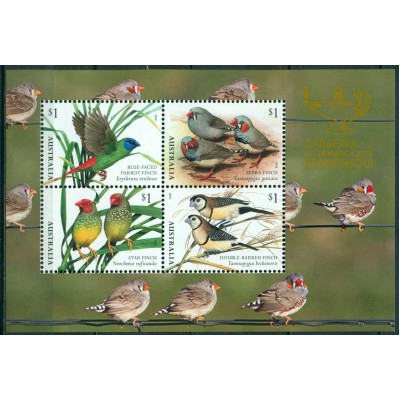 Pájaros