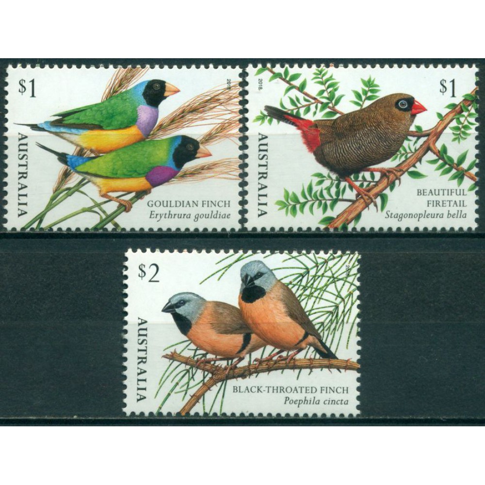 Pájaros