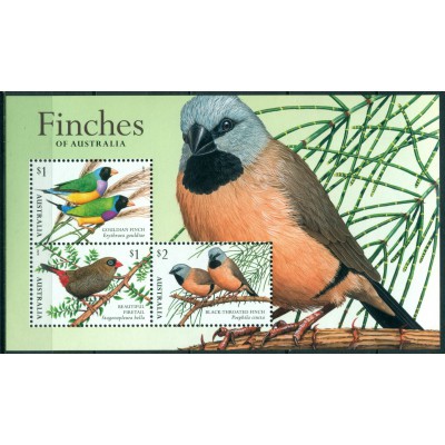 Pájaros