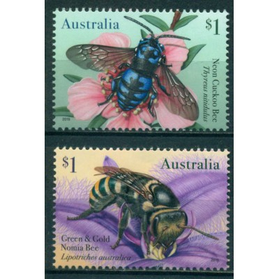 Abejas Autóctonas