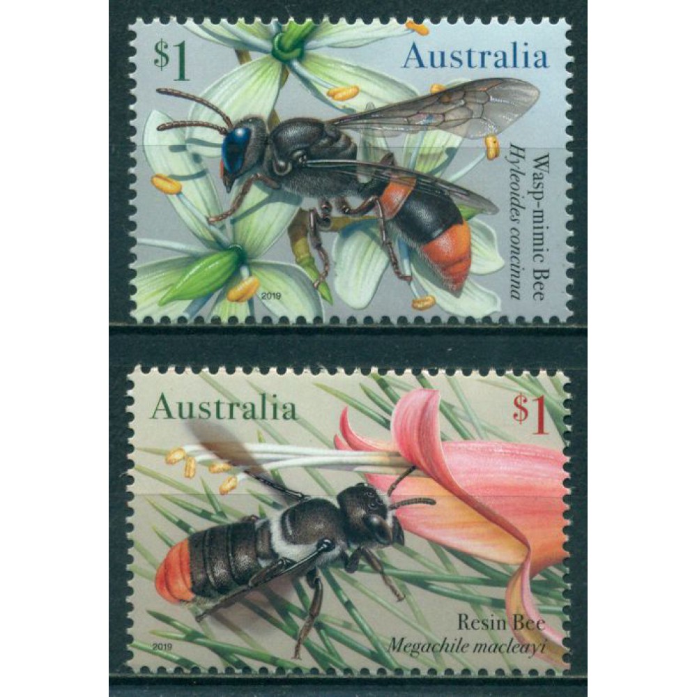 Abejas Autóctonas